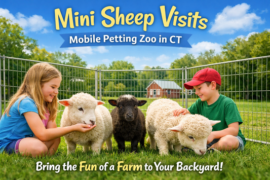 Mobile Petting Zoo from North Branford Connecticut